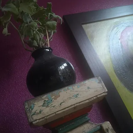 Le Bistrot Du Lot Nocleg ze śniadaniem